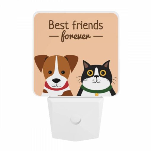 Night Light, A Dog And A Cat Are Shown Together -Acrylic Night Light Shop a58fefdc9ae2387a070c81add5166eaaf869b49f