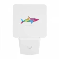 Night Light, A Colorful Fish Is Shown In A White Background. -Acrylic Night Light Shop a90ec45a405850af031c7ad99f36079682e89b6f