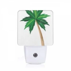 Night Light, A Green And Brown Palm Tree With A Brown Trunk.