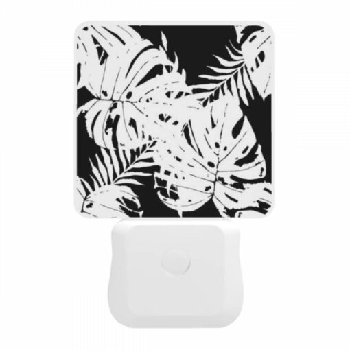Night Light, A Black And White Photo Of A Leafy Plant. -Acrylic Night Light Shop acc10120e6cc26d076465f35c803c1ce92a91916