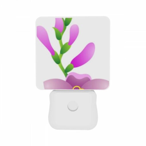 Night Light Set Of 2, Beb59c09-7f6f-494d-ba03-ec9365d7d8f6.jpeg -Acrylic Night Light Shop b41df6f9c939aee20ecf12fa90886606a4c375b5