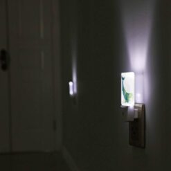 Night Light, A Blue And Green Whale Is Laying On The Ocean Floor. -Acrylic Night Light Shop b5ad2803e277d5f5745c3a6e78c742b6282c721f
