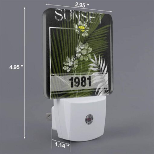 Night Light Set Of 2, A Picture Of A Sunset With A Palm Tree In The Foreground. -Acrylic Night Light Shop b9e16d62c69a01bda072998495ca49dd9e5d627e