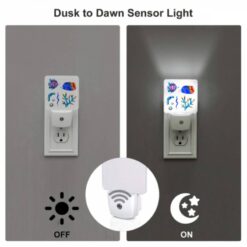 Night Light, A Colorful Fish And A Blue Fish Are Shown Together. -Acrylic Night Light Shop bd9d2eb0a47023d39940fa731671d45337918b7b