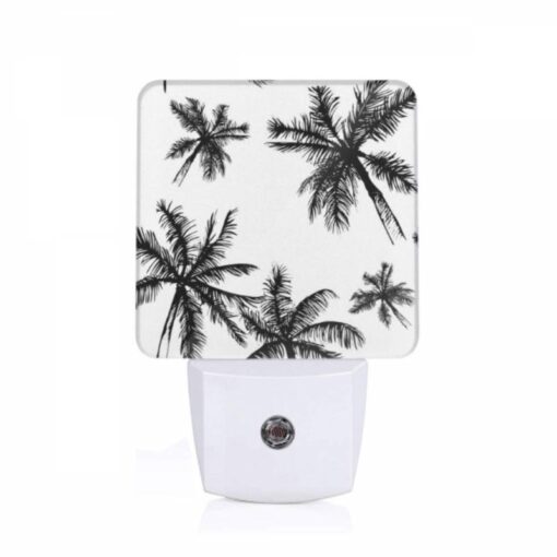 Night Light, A Black And White Image Of Palm Trees. -Acrylic Night Light Shop c0241d252d0aa99522b344bbdf21b1f63cb815dd