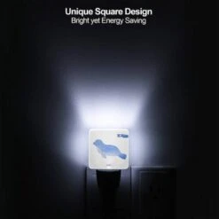 Night Light, A Blue Seal Is Shown In A Cartoon Style. 4 Night Light, A Blue Seal Is Shown In A Cartoon Style. -Acrylic Night Light Shop c53fd85f3ef6b95f1e758a77b27dfb76b8a27caf