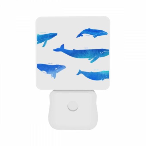 Night Light Set Of 2, A Collection Of Blue Whale Illustrations. -Acrylic Night Light Shop caa69b5a54b520e9d81b4bf371931f1bf2f5a637