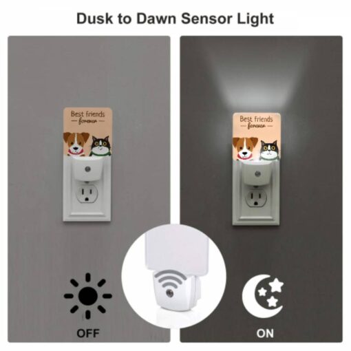 Night Light, A Dog And A Cat Are Shown Together -Acrylic Night Light Shop cddc2ebb3383d670128e9d7c8d97c7571baf0922