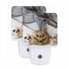 Night Light Set Of 2, Three Skulls Are Placed Next To A Pumpkin.