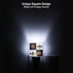 Night Light, A Black And White Image Of A Flower With A Pink Center. 4 Night Light, A Black And White Image Of A Flower With A Pink Center. -Acrylic Night Light Shop e33ed4f05bc88073115b946b42f7e105a4eb84b8