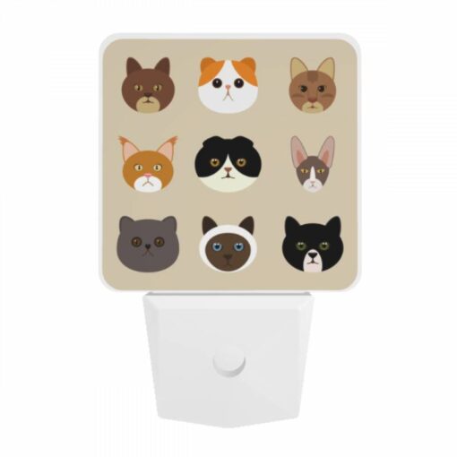 Night Light, A Collection Of Cat Images -Acrylic Night Light Shop e79c37797a733b7d5833f9f6a45fab552a6dba9b