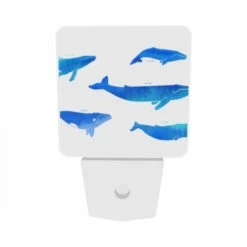 Night Light Set Of 2, A Collection Of Blue Whale Illustrations. -Acrylic Night Light Shop e8446e7a2c18f1a4bc1c512a8f9ee3f45a415862