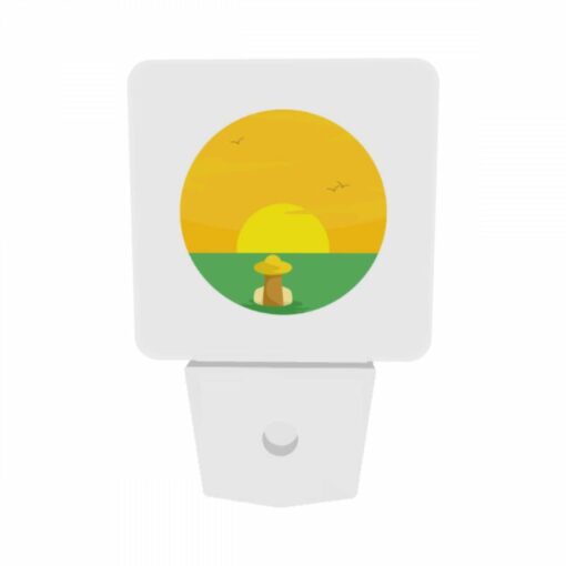 Night Light Set Of 2, A Sunset With A Bird Flying In The Sky. -Acrylic Night Light Shop f215189b5ea646015c6a1881ecc640a83fa40d18