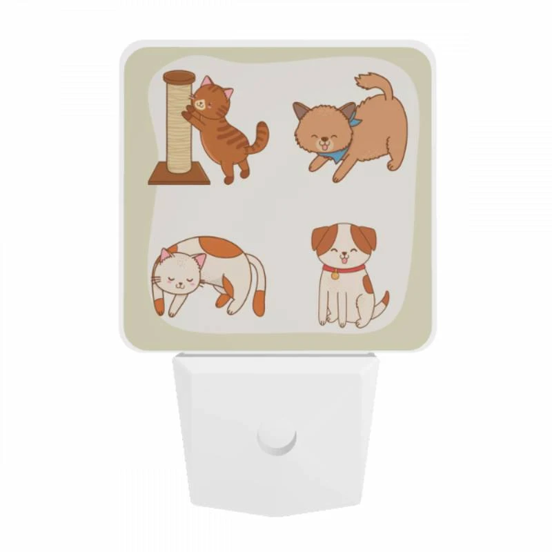 Night Light, Four different colored cats are shown playing with a toy. Night Light, Four Different Colored Cats Are Shown Playing With A Toy. -Acrylic Night Light Shop f79a2c7a773e3ca886545ab7f12e147d9e12193f