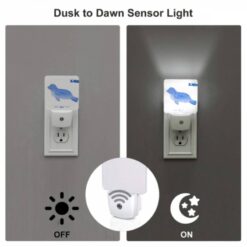 Night Light, A Blue Seal Is Shown In A Cartoon Style. -Acrylic Night Light Shop fcd7254cc8767ee0e11c2ceba0c910c80efa158f