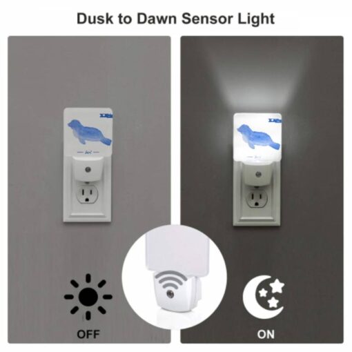 Night Light, A Blue Seal Is Shown In A Cartoon Style. -Acrylic Night Light Shop fcd7254cc8767ee0e11c2ceba0c910c80efa158f